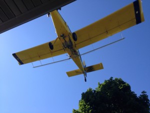 IMG_3414