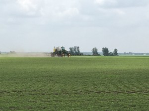 IMG_0509