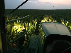 IMG_0630
