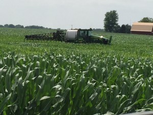 IMG_0644
