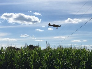 IMG_0763