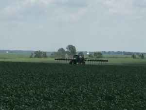 IMG_4290